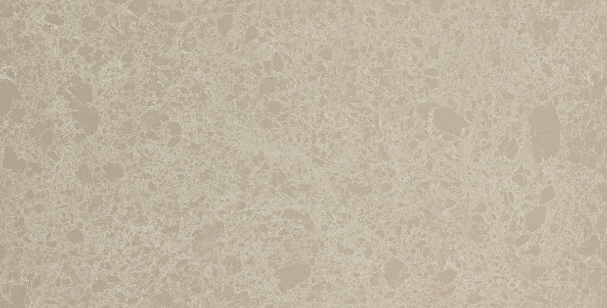 GRAY SPIDER