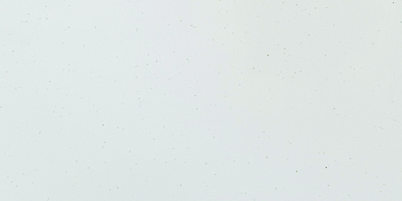 Winter Ice